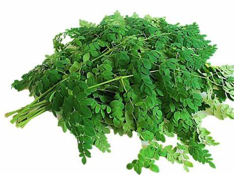 Murungai Keerai / Drumstick Leaves App. (250g)