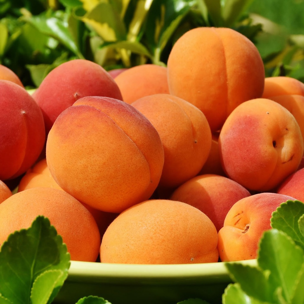 Apricots (1 kg)