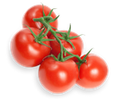 Vine Tomato(500gr)