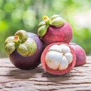 Mangosteen (Qty 3)