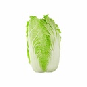 Chinese Cabbage - Single