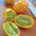 Kiwano (Qty 1)