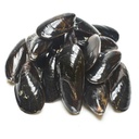 Lyme Bay Mussels 1kg